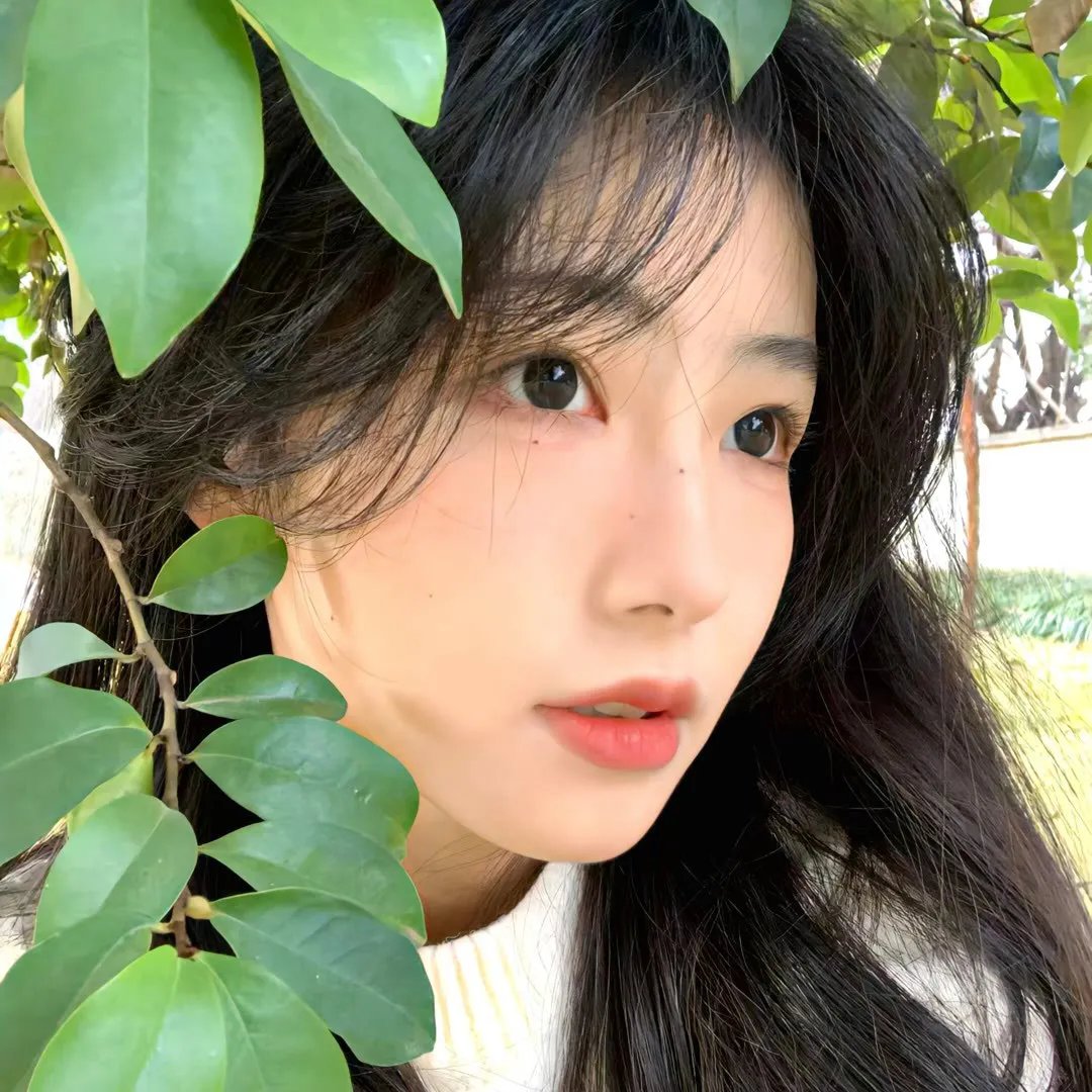 豪情四兄弟